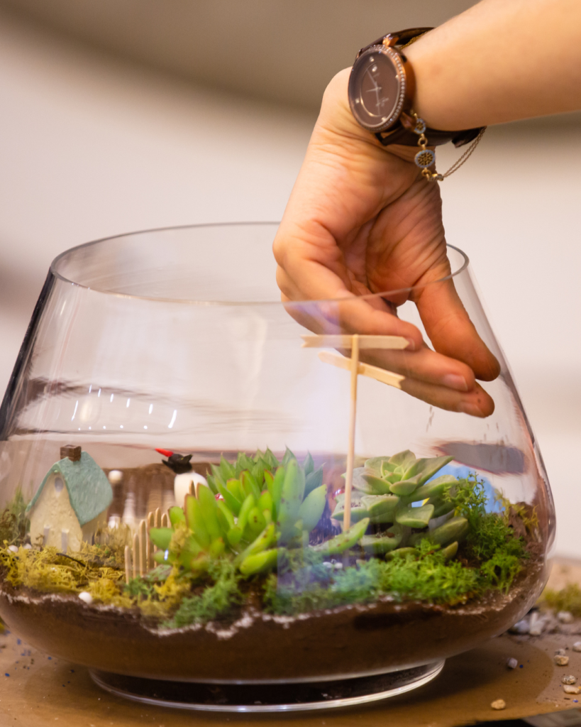 tuile terrarium