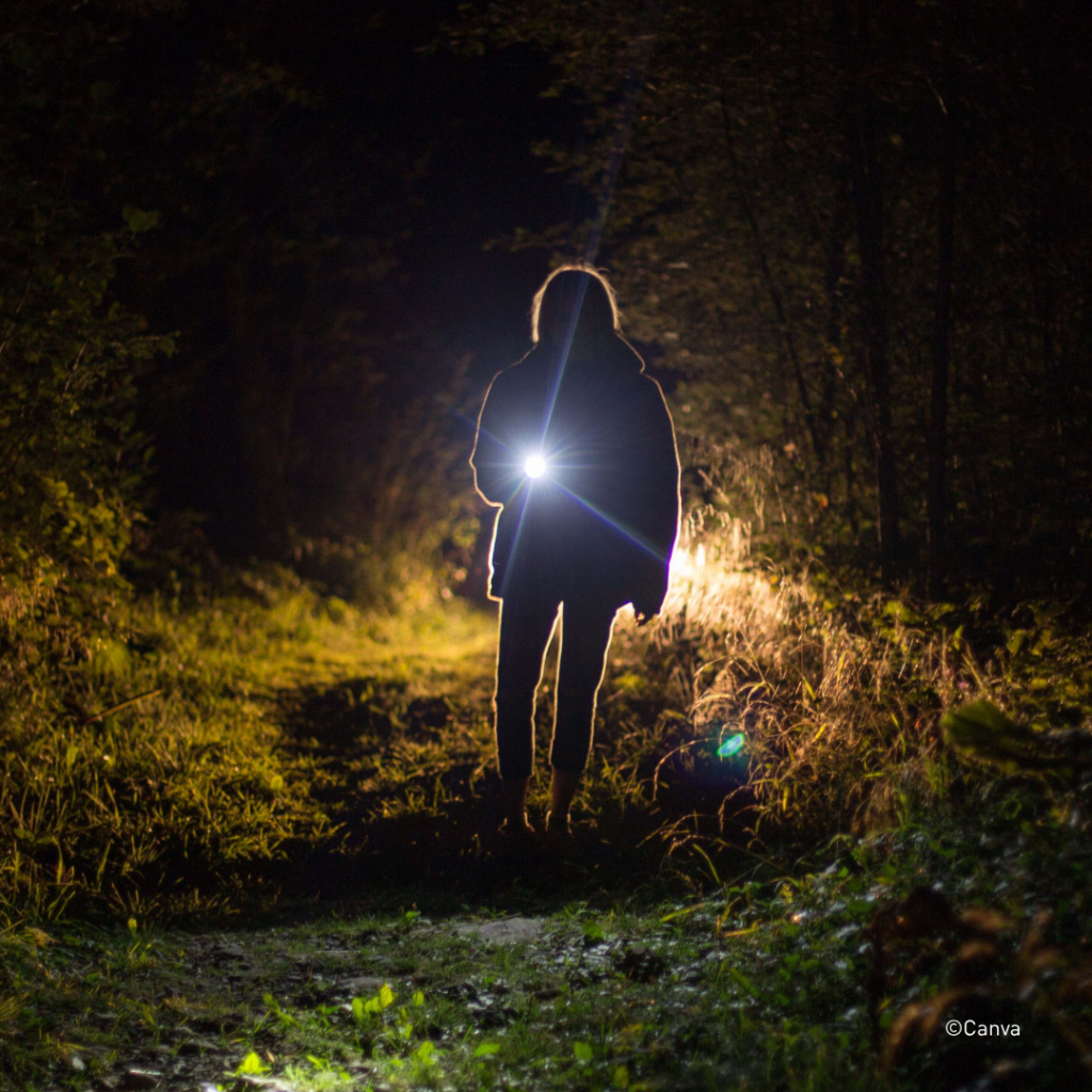balade nocturne